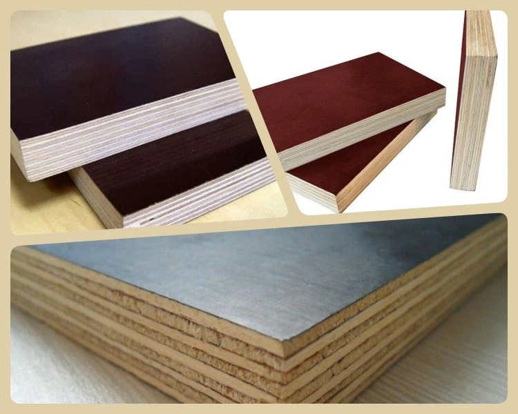 3 Colors FFP 600