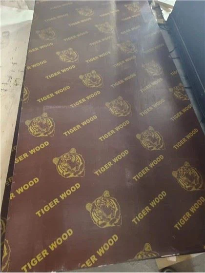 Καφέ ταινία που αντιμετωπίζει κόντρα πλακέ 12mm