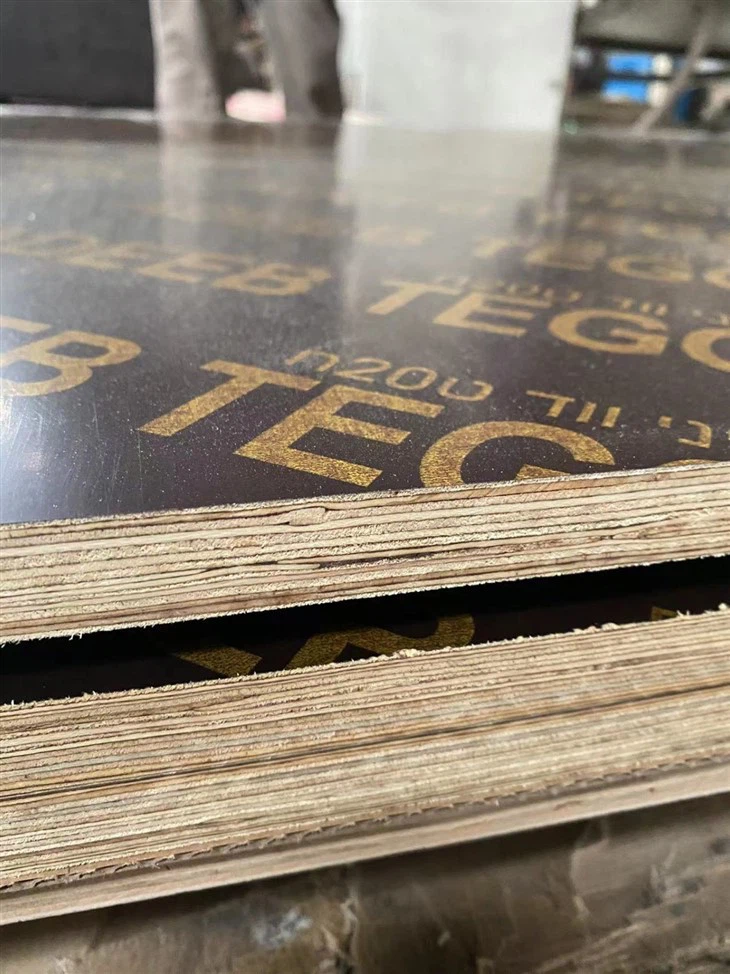 Marine Plywood Flm Faced Plywood 18MM